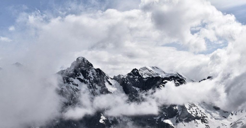 Cloud Based Procurement Software