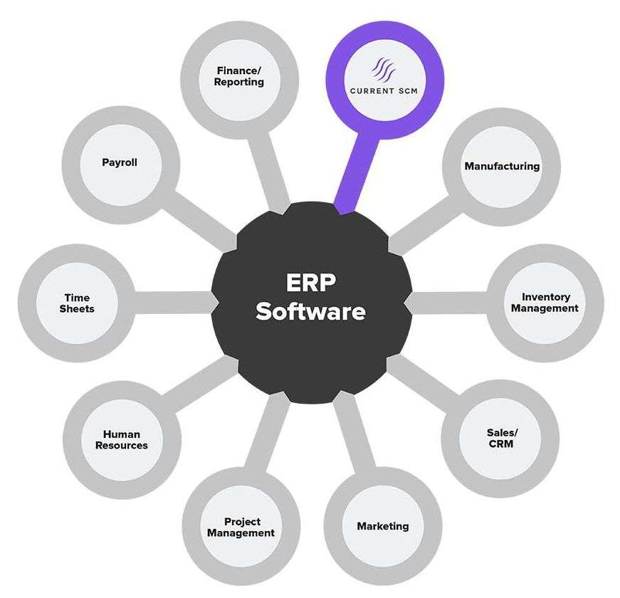 erp software img scm no txt